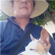 Matemáticas básica y universitario ingenierias